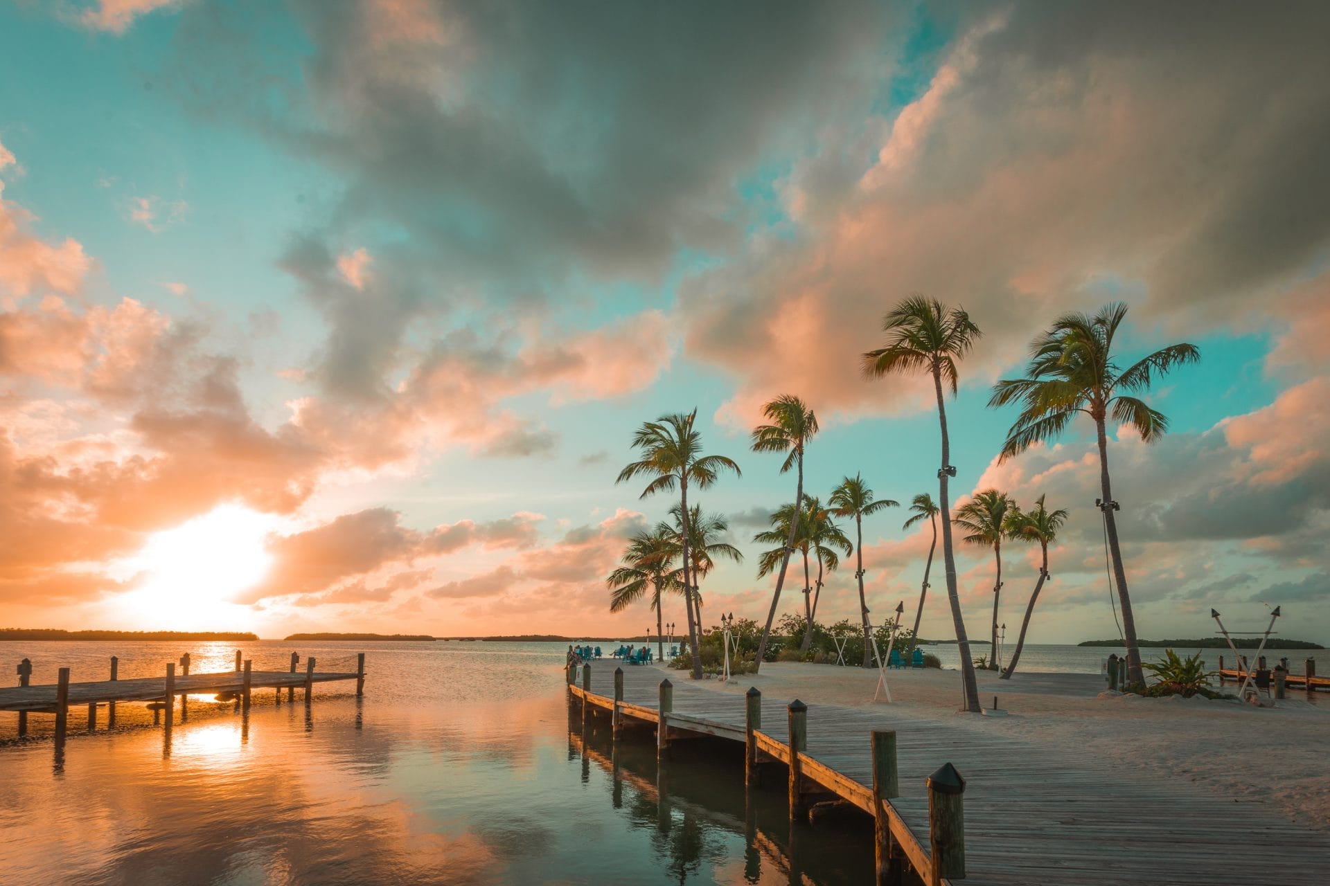 Florida Law Set to Remove Climate Change from State Priorities – One Green Planet - Vimarsana News