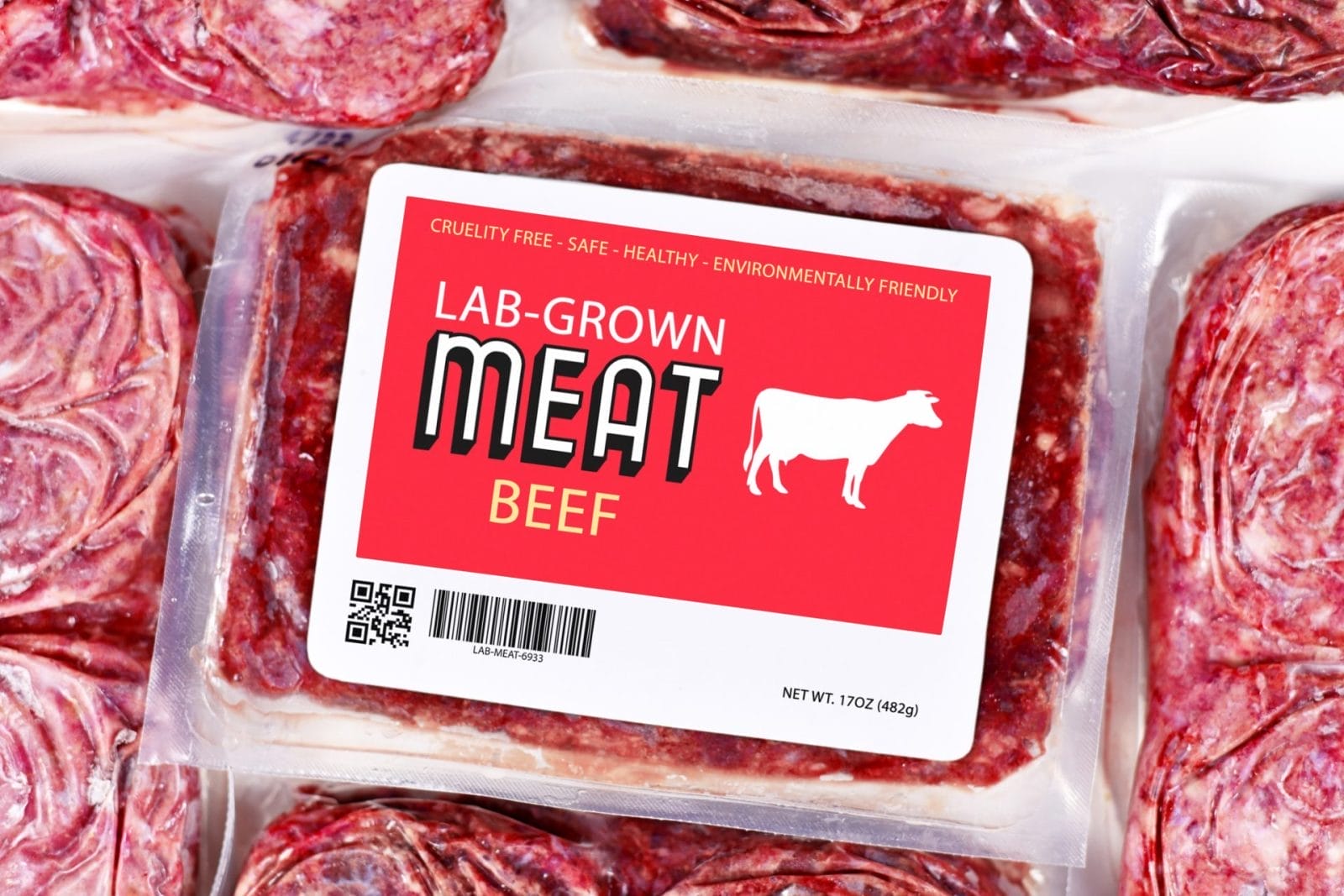 Florida Governor DeSantis Signs Bill Prohibiting Sale of Lab-Grown Meat – One Green Planet - Vimarsana News
