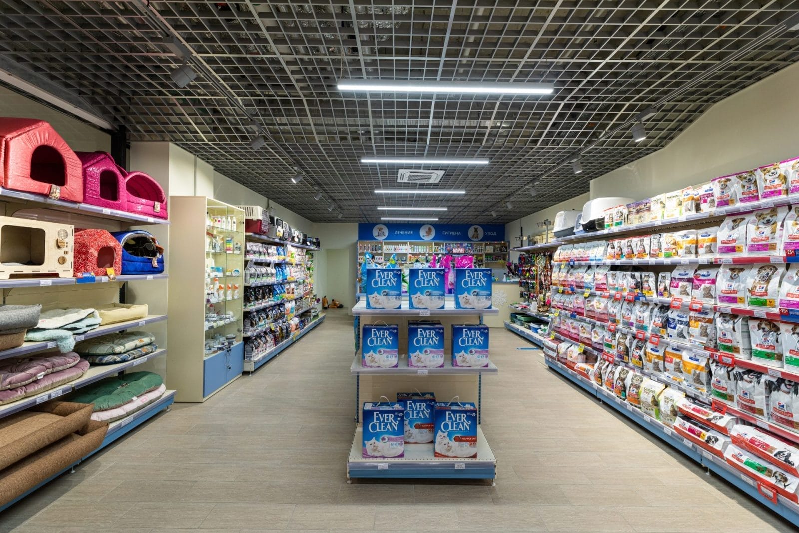 Las Vegas Councilwoman Calls for Investigation into Petland Sales Amid Animal Abuse Case – One Green Planet - Vimarsana News
