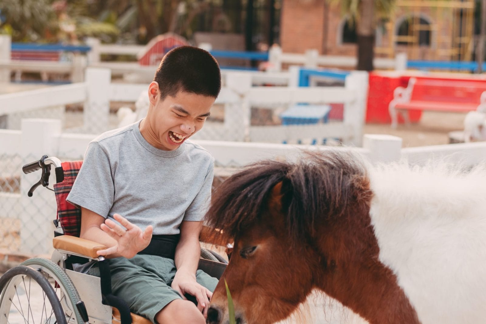 Five Amazing Therapy Animals – One Green Planet - Vimarsana News
