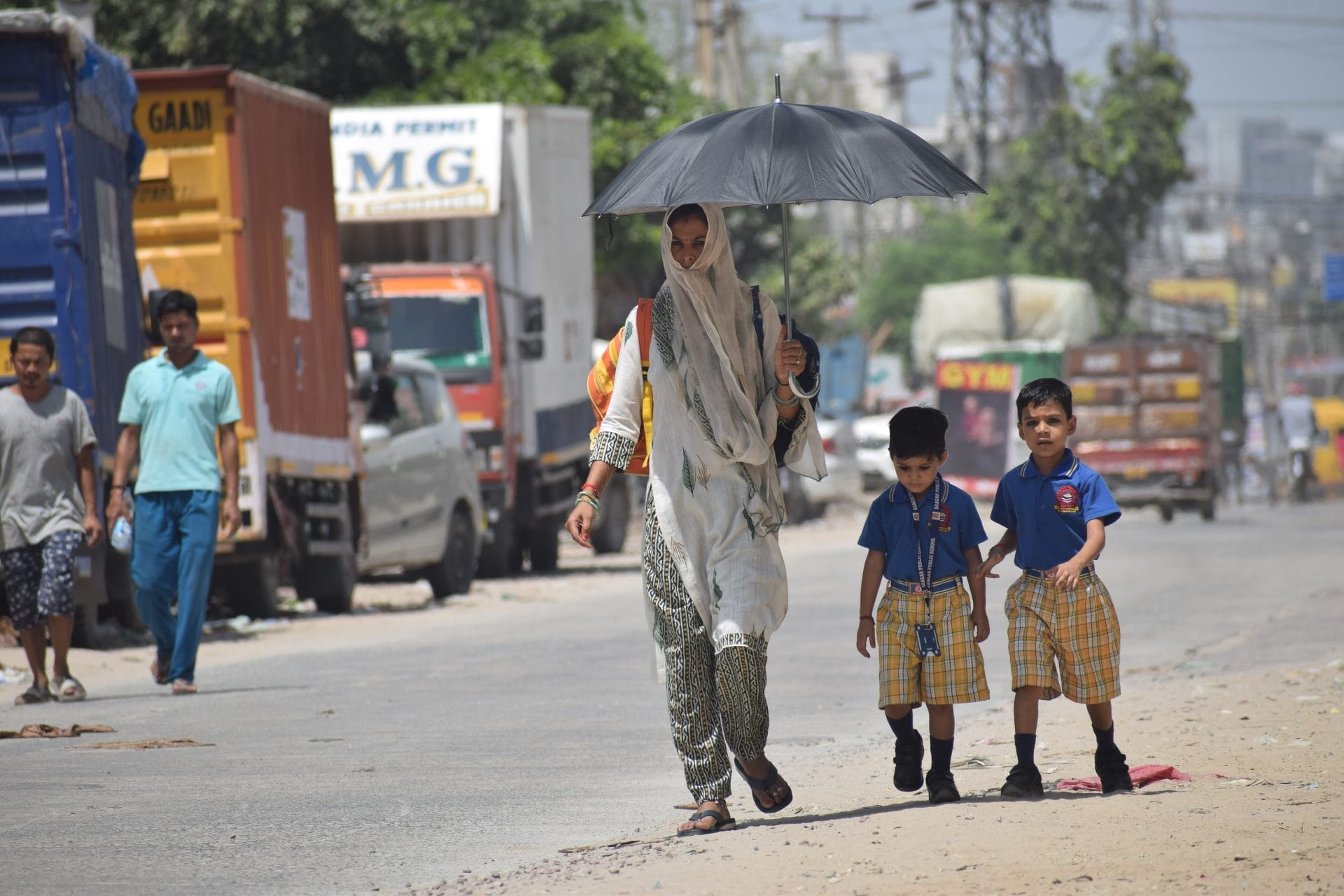 India Grapples with Searing Heat as Animals Collapse and Water Shortages Intensify – One Green Planet - Vimarsana News