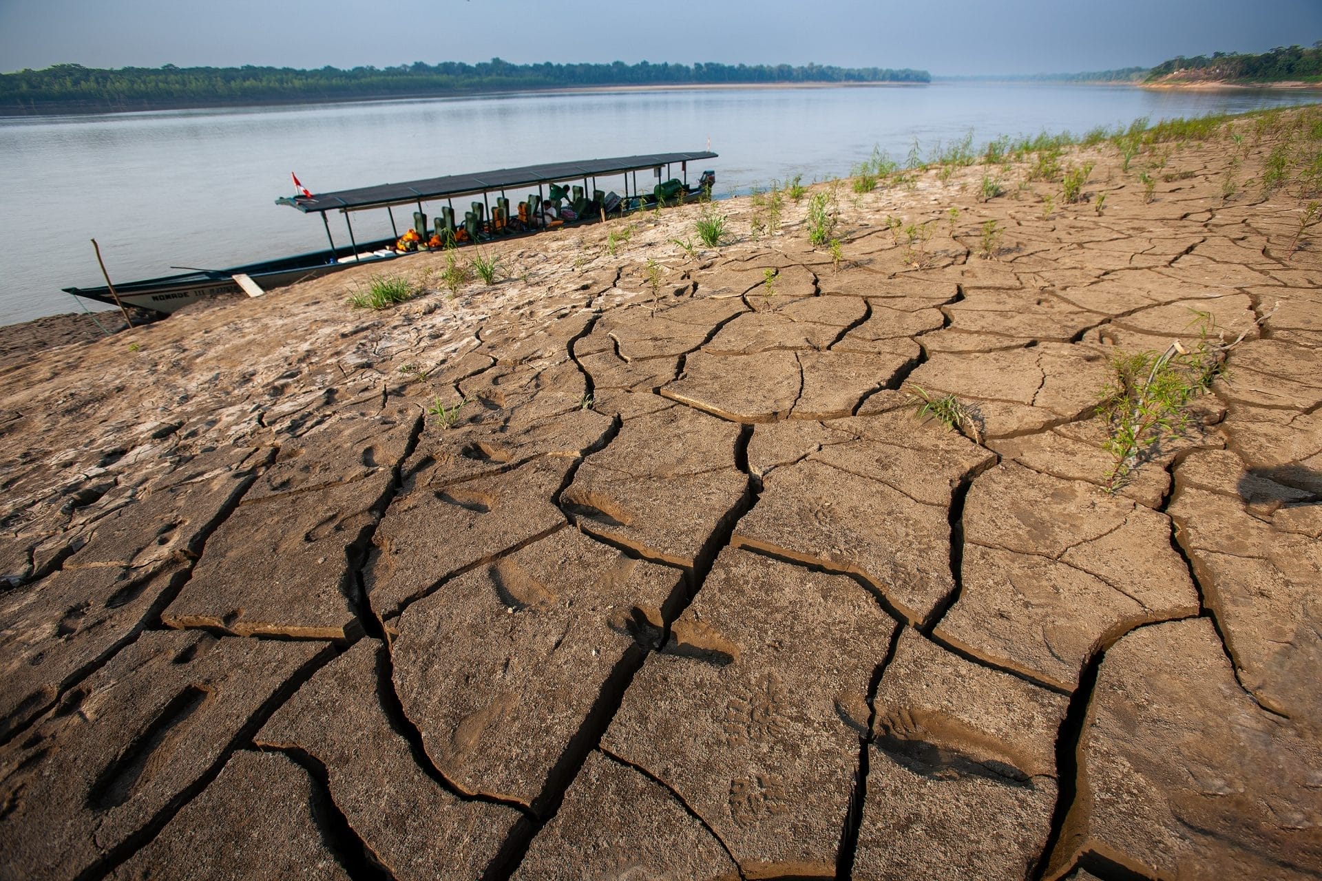 Amazon Rainforest Faces Severe Recovery Challenges from Drought – One Green Planet - Vimarsana News