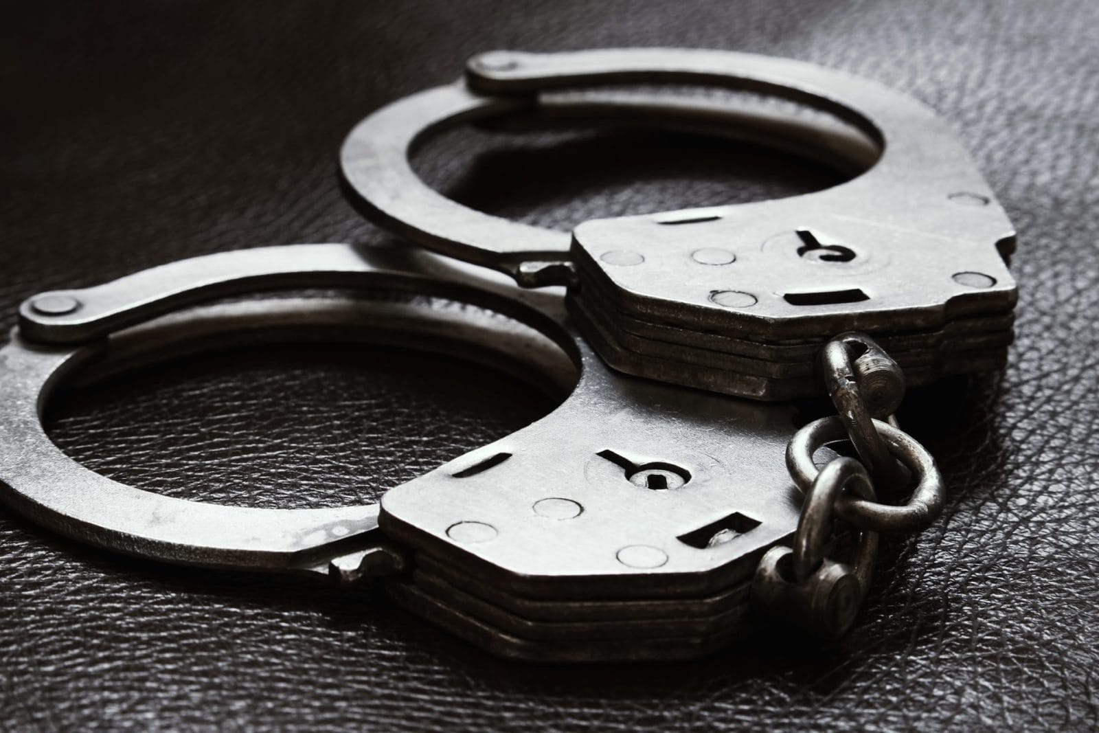 22-Year Old Miami Resident Arrested for Brutally Punching and Abusing His Dog – One Green Planet - Vimarsana News