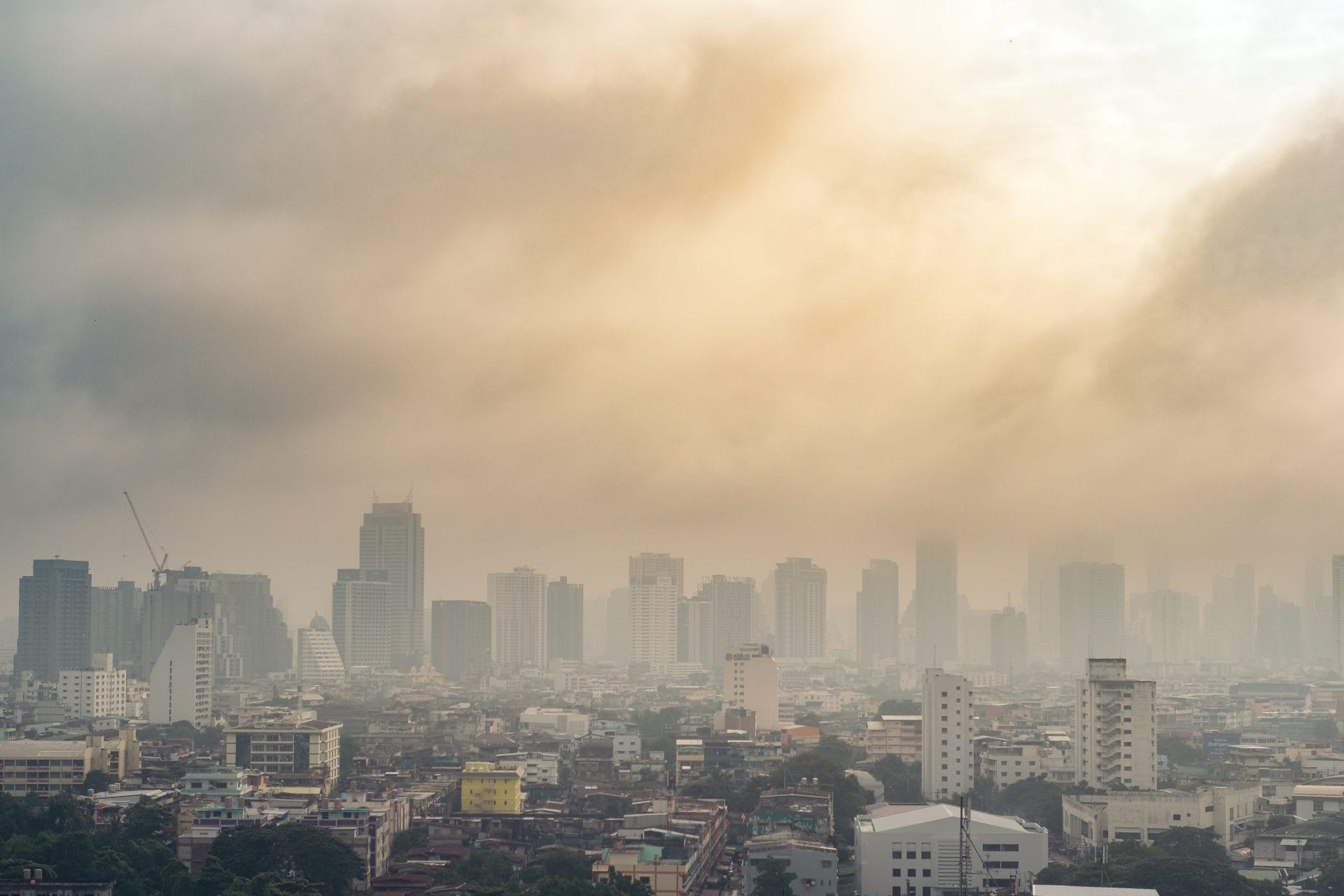 Weekly Top News: US Air Quality Worsens, G7 Nations Commit to Coal Phase-Out, Studies Reveal Which Foods Have the Most Plastic, and More! – One Green Planet - Vimarsana News