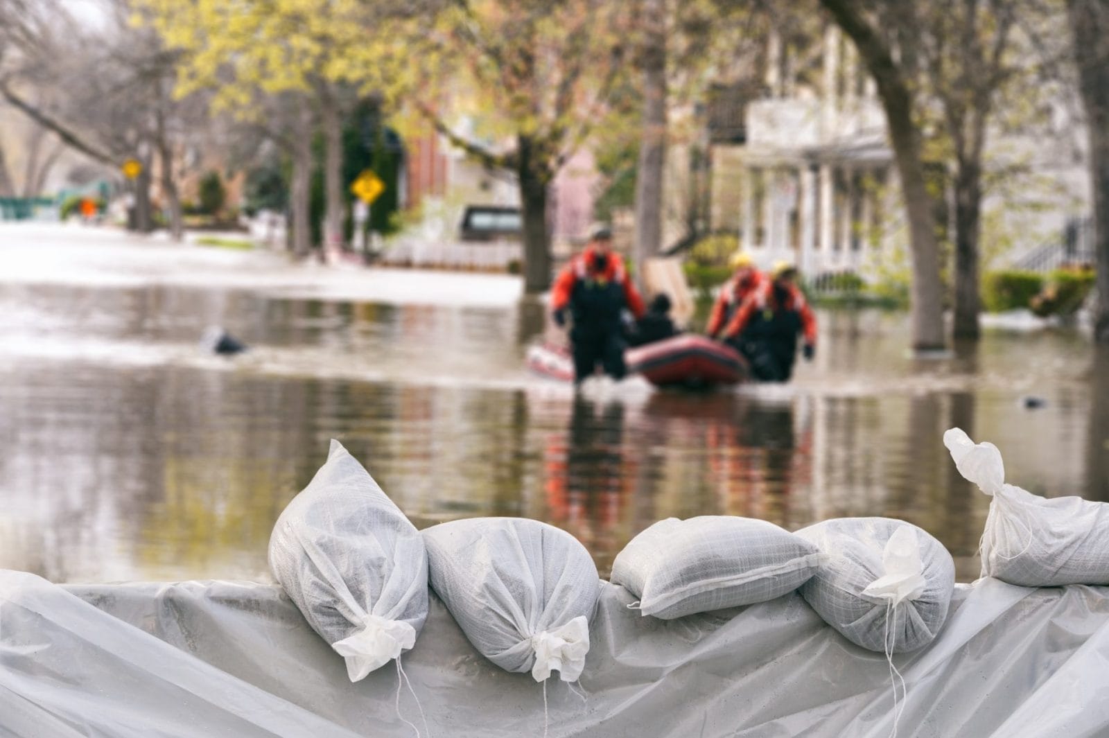 UFC Middleweight Michel Pereira is Helping Rescue Animals Stranded in Brazil Floods – One Green Planet - Vimarsana News