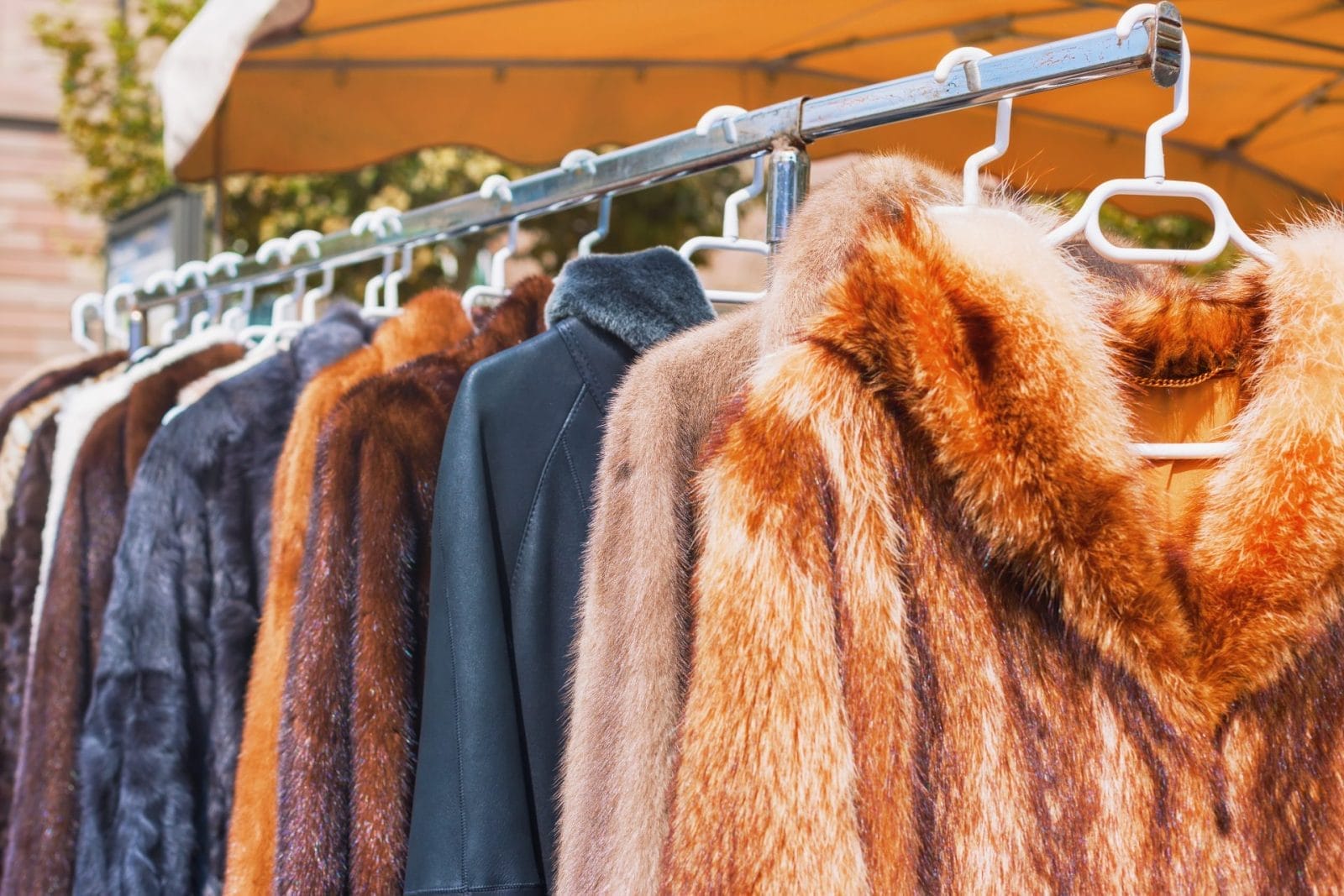Queen Camilla has Committed to Buying No More Real Fur – One Green Planet - Vimarsana News