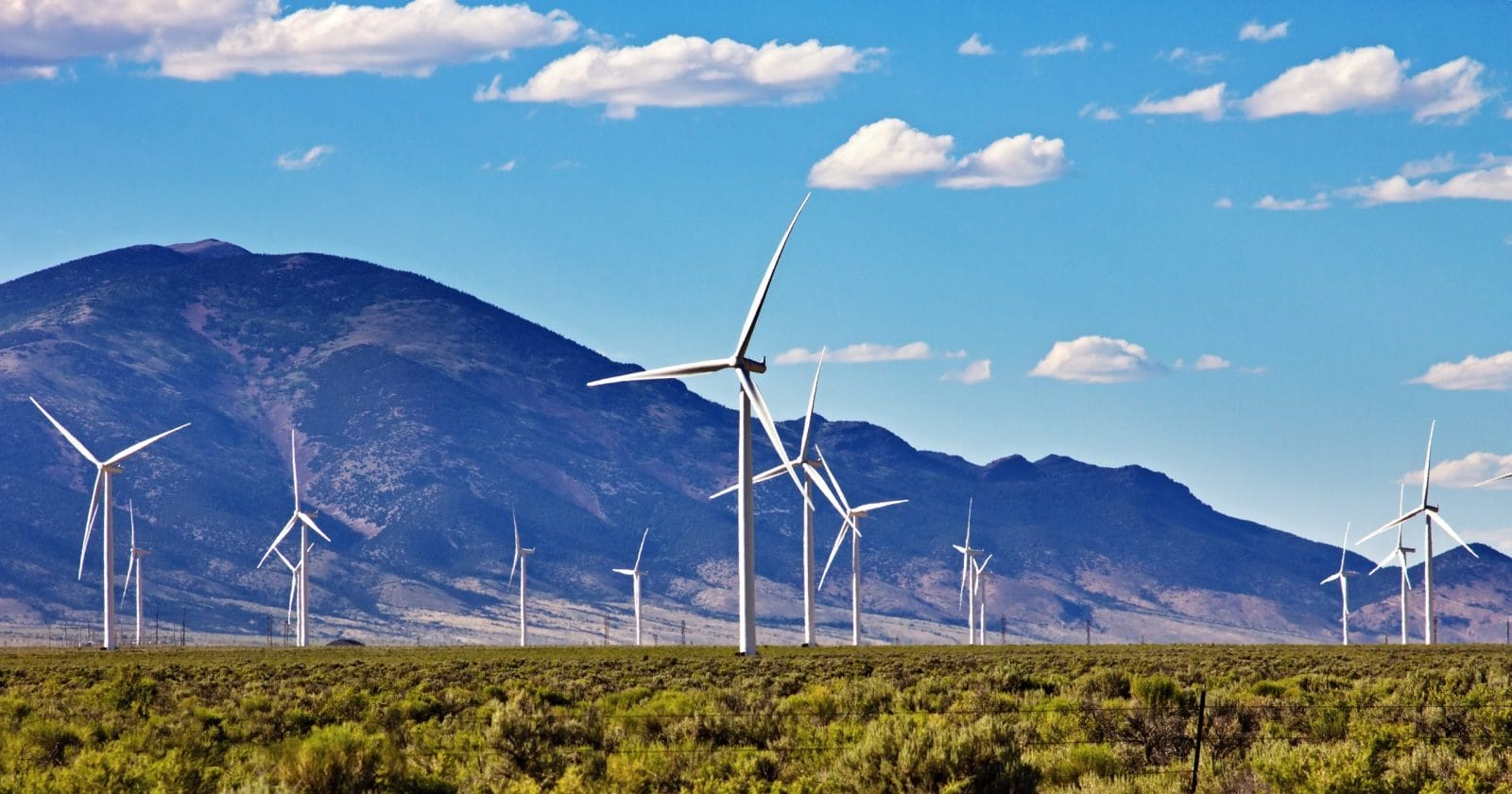wind farm with mountains behind usa