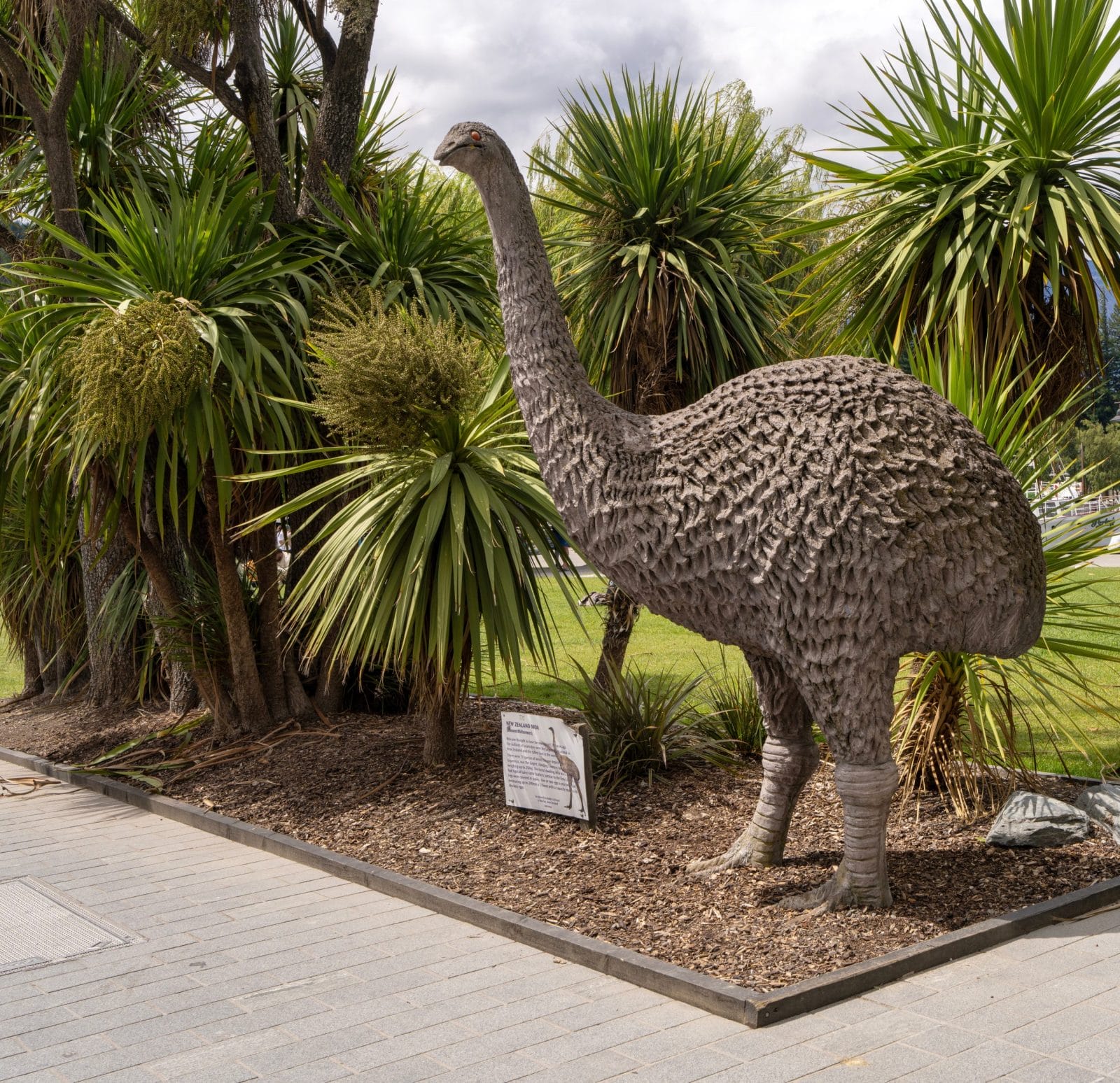 Peter Jackson Funds Plan to Revive the Moa Using Genetic Engineering Peter Jackson Funds Plan to Revive the Moa Using Genetic Engineering