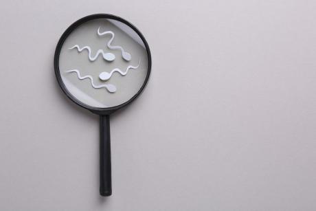 Reproductive medicine. Magnifier and sperm cells on gray background, top view with space for text