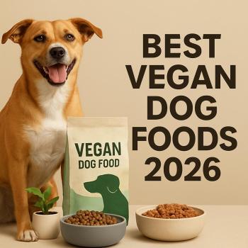 best vegan dog food 2026 plant-based kibble bowl outdoor